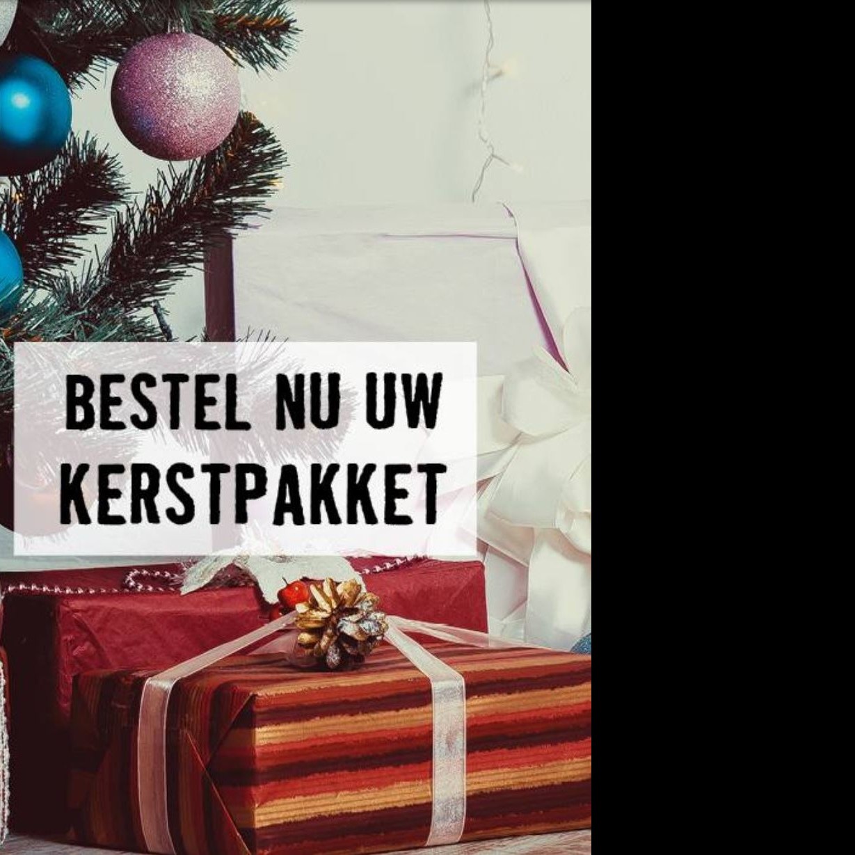 Onze kerstpakketten voor 2019 staan online